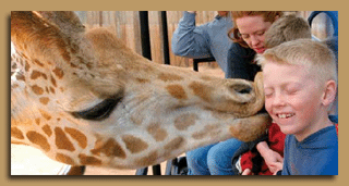 Out of Africa Wildlife Park