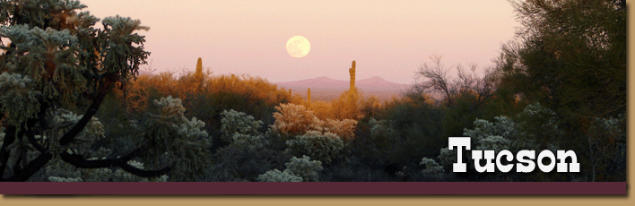 Moonrise over the Tucson desert