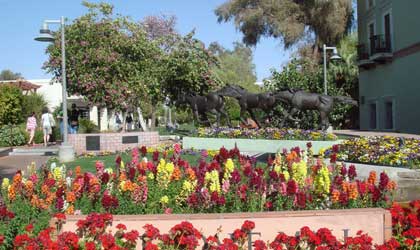 Flower garden in Old Town Scottsdale